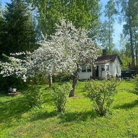 Matilda Apartment